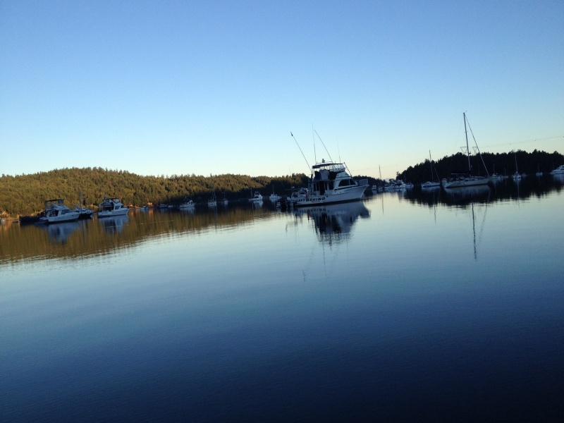 Early am departure