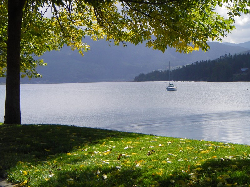 Early fall golden leaves framing Sequim Bay anchorage.