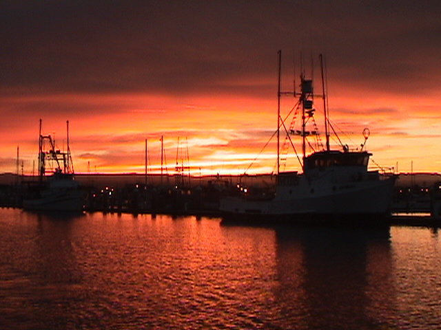 Early Morning Tuna Trip 2006