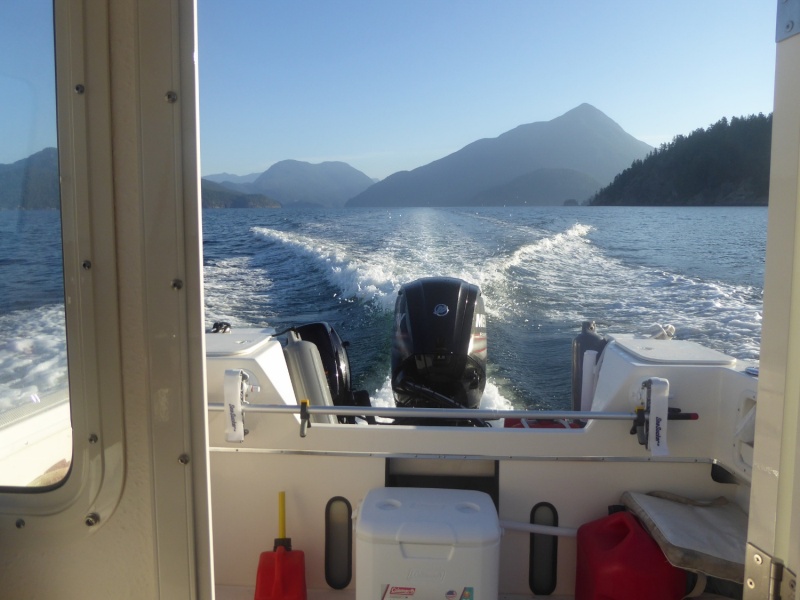 Early Sunday leaving Prideaux Haven