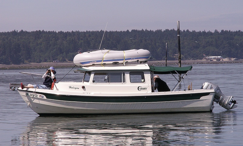 El on Halcyon Sundeck at Nisqually Delta 7-14-07