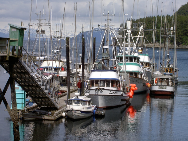 elfin cove transiet dock--around the bigger boys sometimes it pays to be small