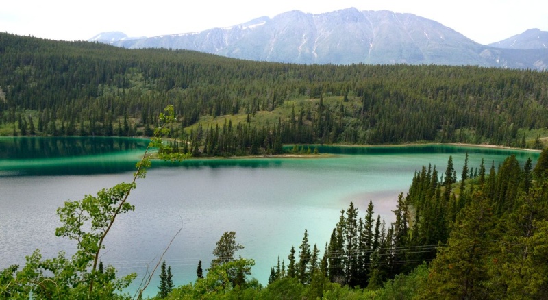Emerald Lake.  Jewel of the Yukon.  Photo doesn't do it justice.