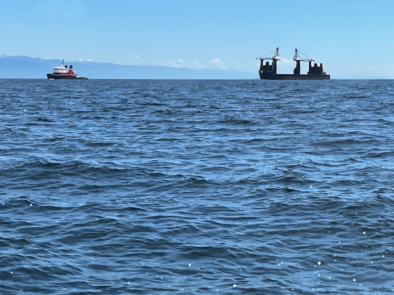 Empty self loading log barge in Gulf of Georgia