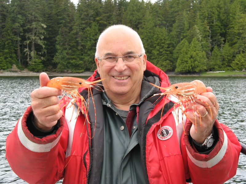 Enough prawns for supper in second trap