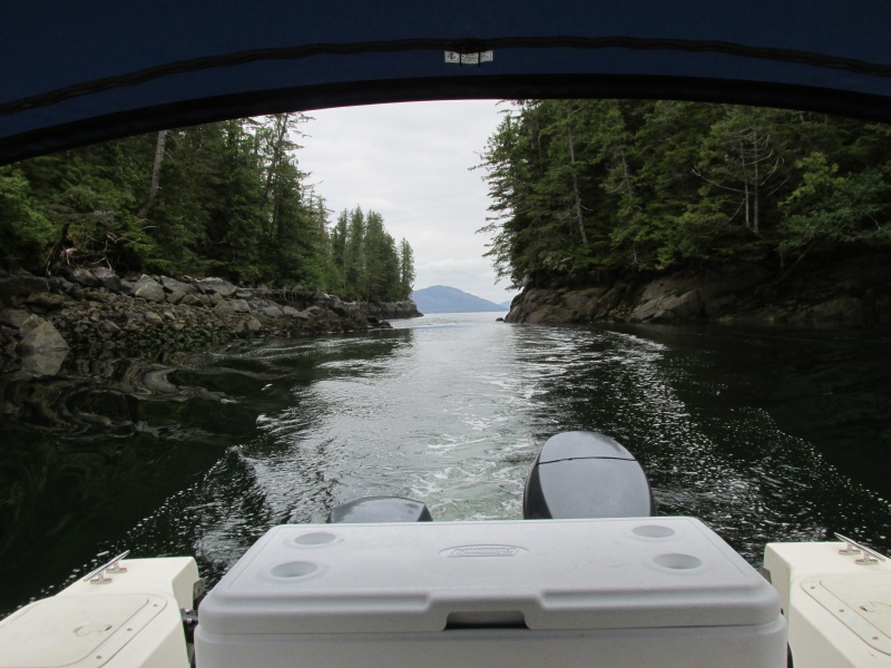 Entrance Clarke Cove, Princess Royal Island (Campania Sound)