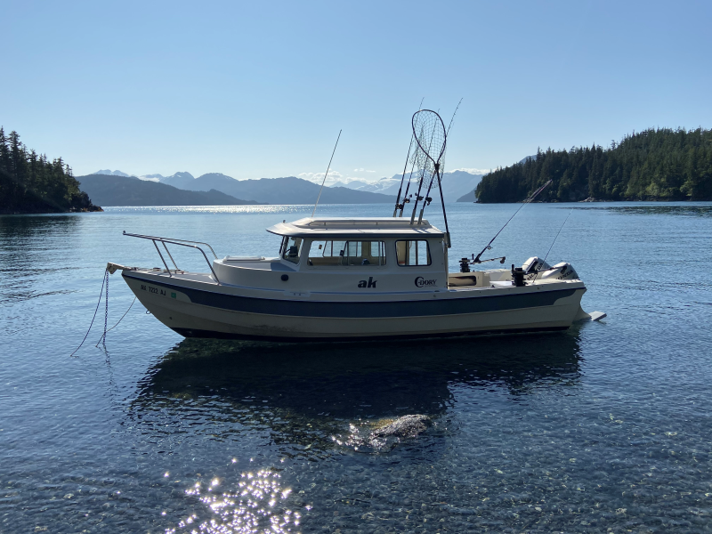 Entry Cove, Prince William Sound, August 2020