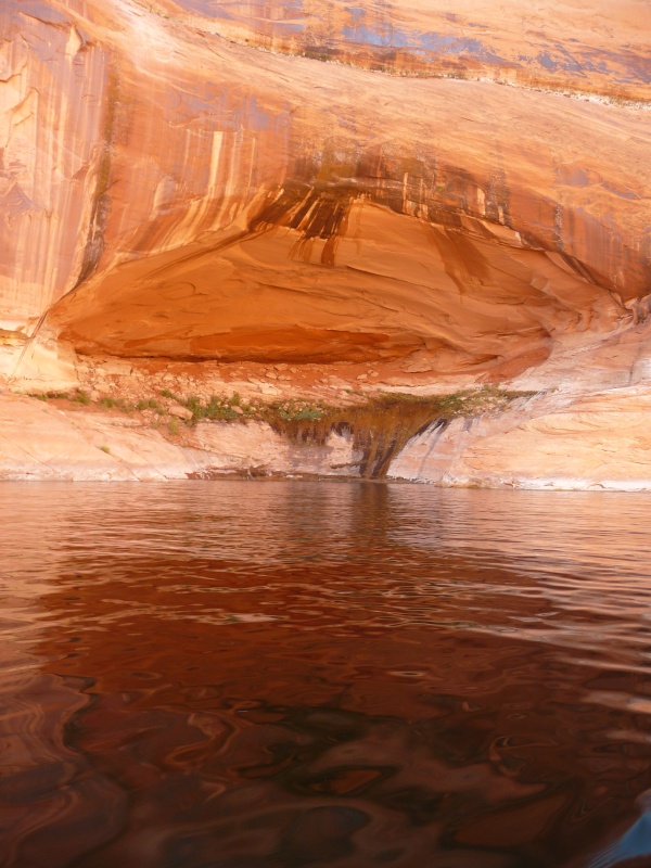 Escalante, unnamed canyon, for Bill to \"geologize\"