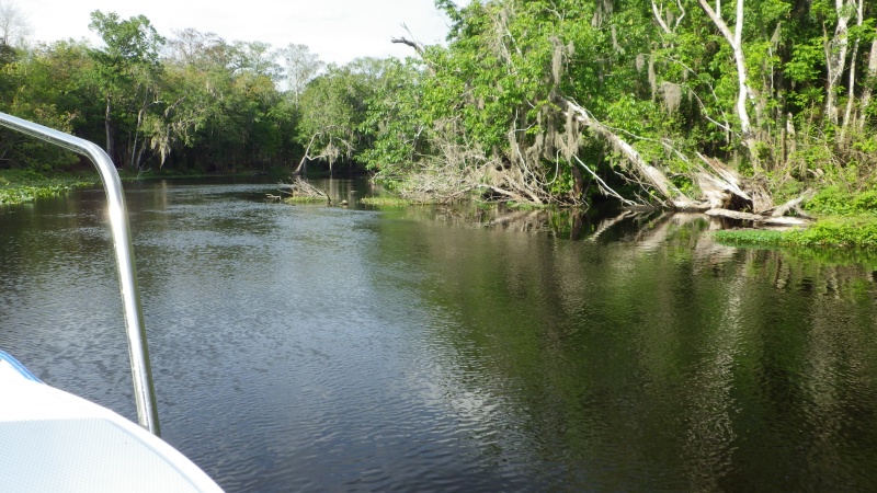 Etonia Creek
