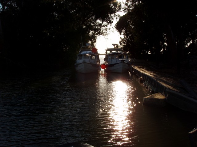 Evening at Wheeler Island