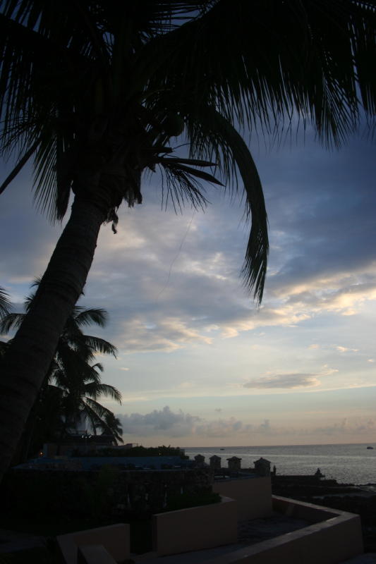 evening