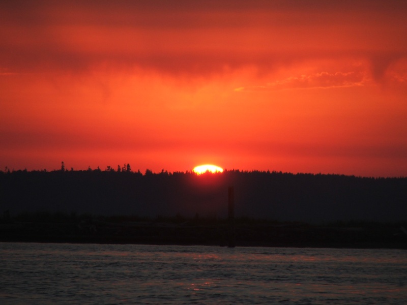 Everett Marina Sunset #3