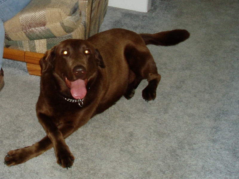 Everyone is his buddy, Rex -- as long as he knows you :-)
