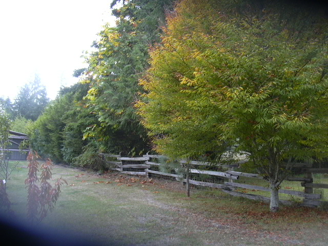 Fall at Freshwater Bay