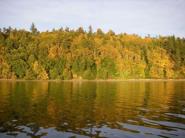 Fall colors, Fox Island