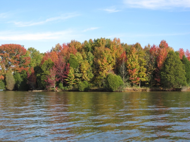 fall leaf tour on the Cumberland