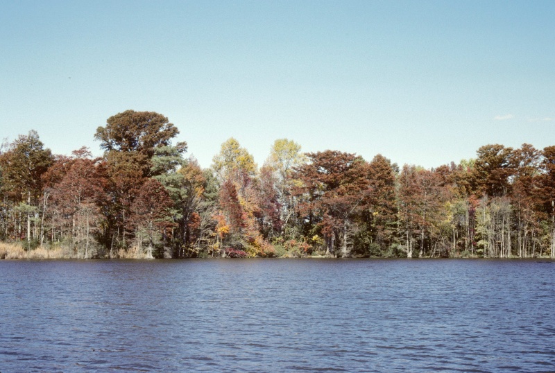 Fall on the ICW