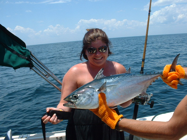 False Albacore off Pensacola, FL