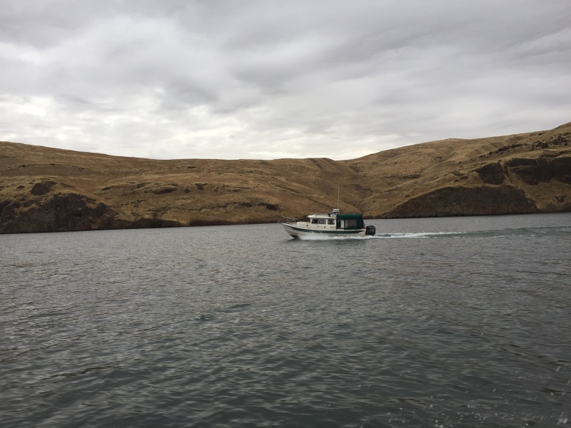 Far C on the Snake River