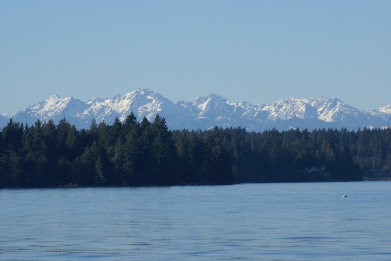 FEBRUARY 2012 004 - Olympics behind Penrose Pt