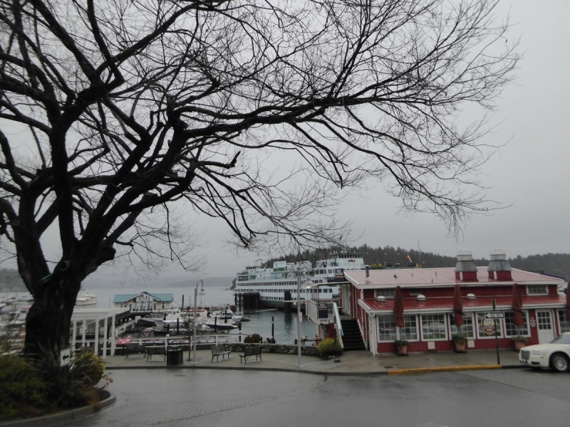 Ferry Terminal