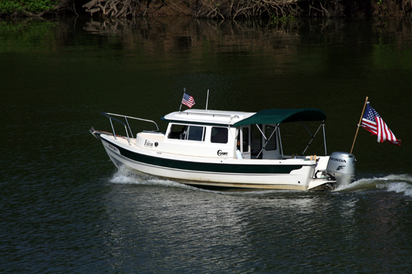 fFalcon Cumberland