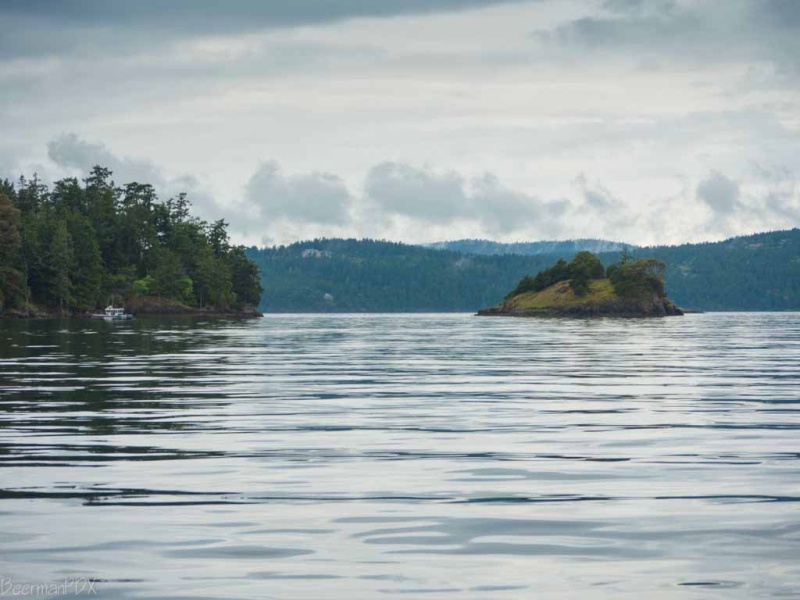 Final run to Friday Harbor