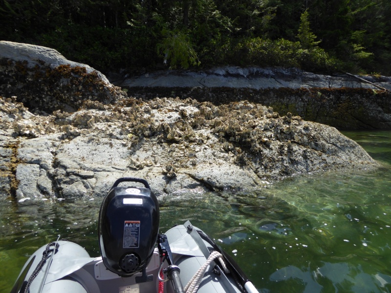 Finally realized, "Prideaux" must be French-Canadian for Oysters!