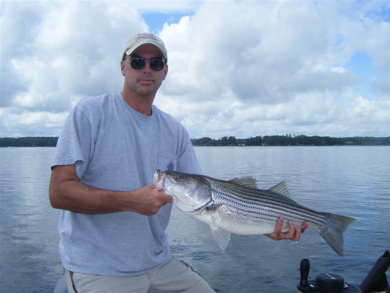 Finally! These guys have been giving us fits for quite a while. Good to finally get one in the boat.