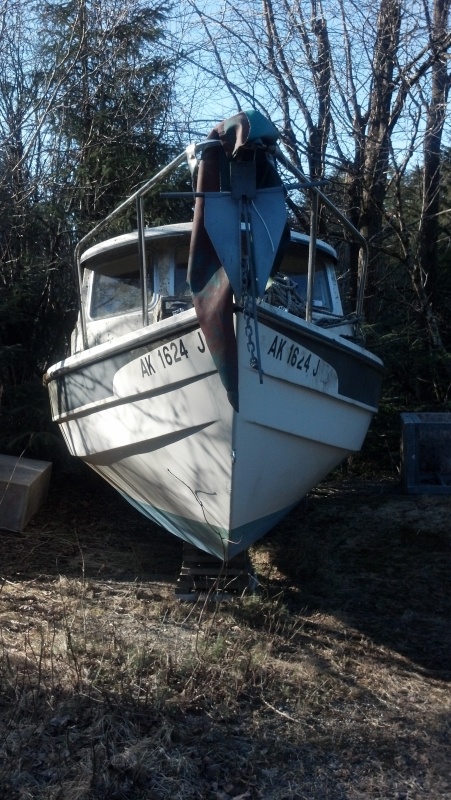 First Look of My New Dory #4