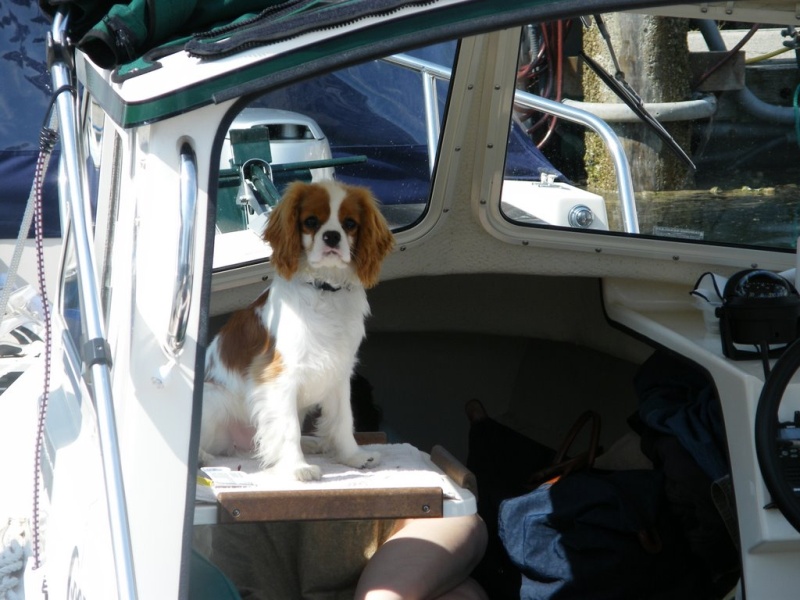 First Mate of Gizmo.