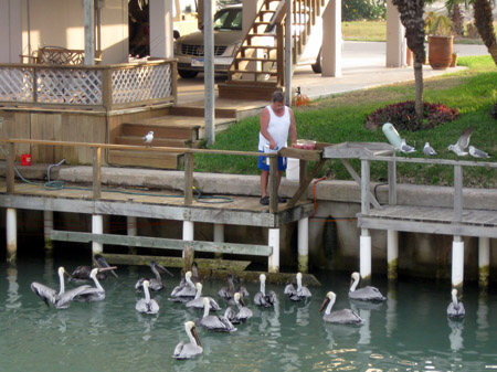 Fish cleaning... audience