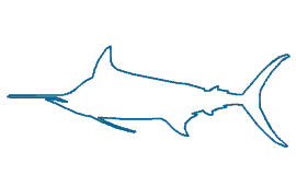 fish morph