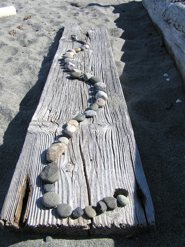 Fisherman's Bay, Lopez Island.