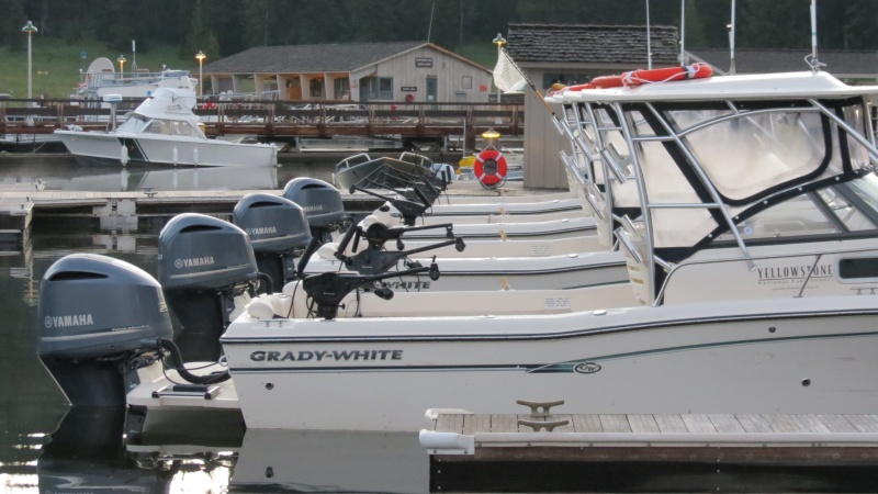 Fishin Machines
