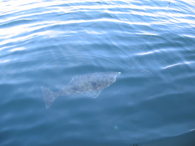 fishing 5-20-2006 013