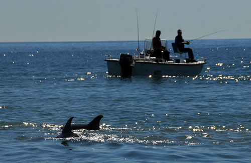 fishing and dolphin watching