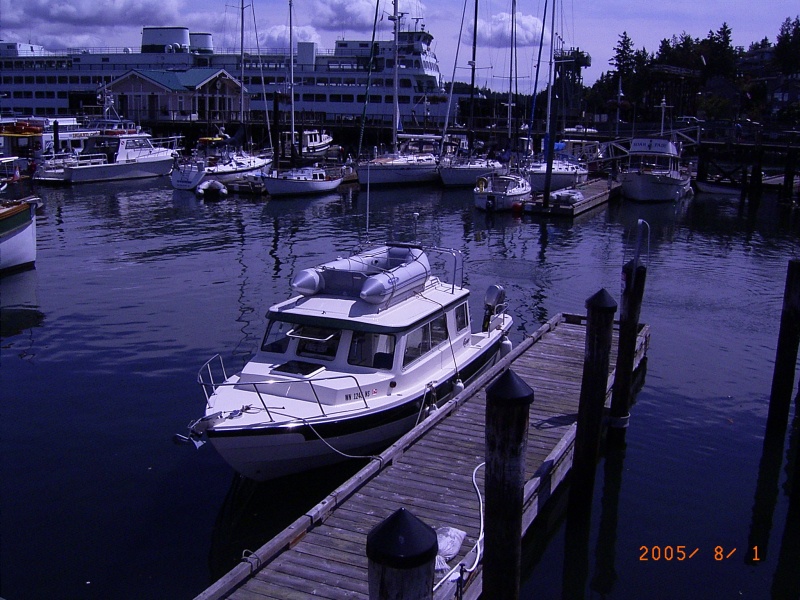 (Fishtales) CD25 seen at Friday Harbor