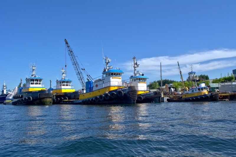Fleet of tub boats in Fremont