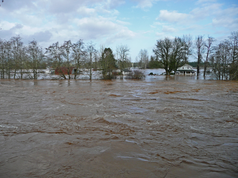 flood