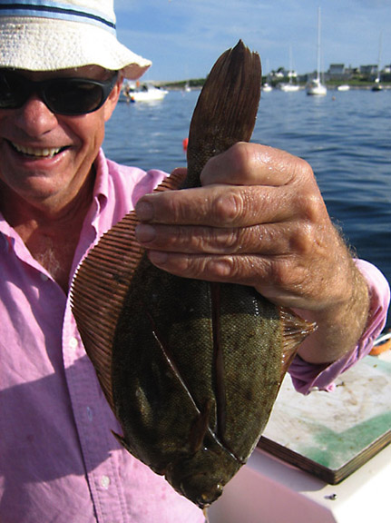 Flounder
