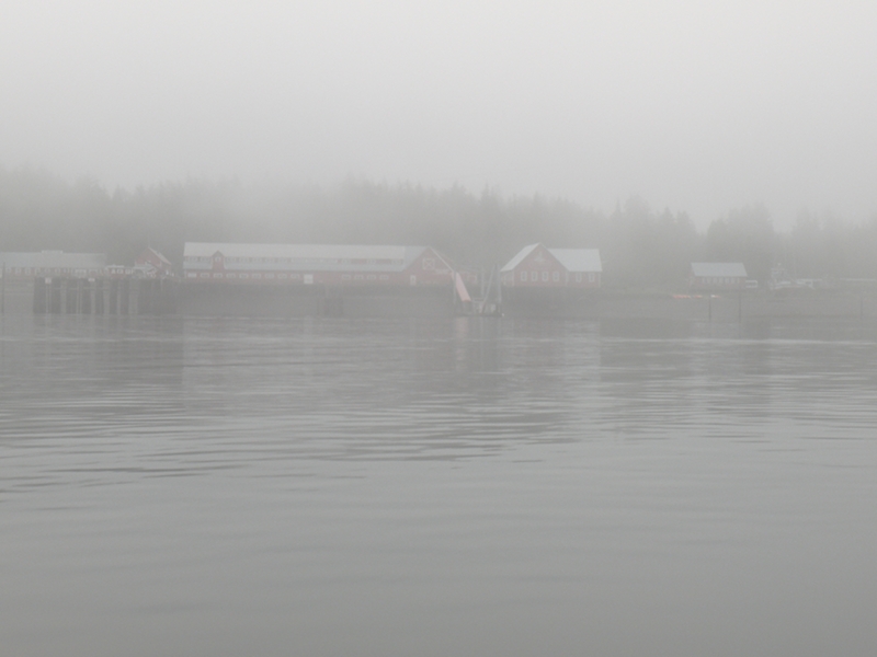 Fog lifted a bit the closer we got to Icy Strait