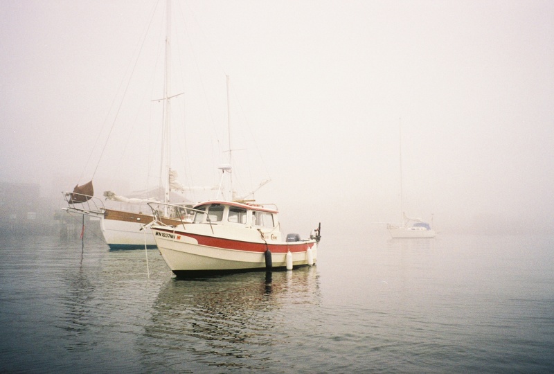 Fog05PT