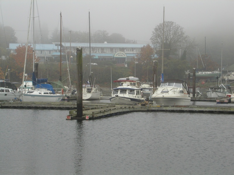 Foggy morning at Saltspring Marina