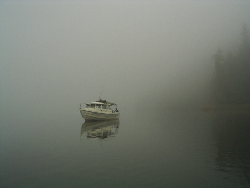 Foggy morning