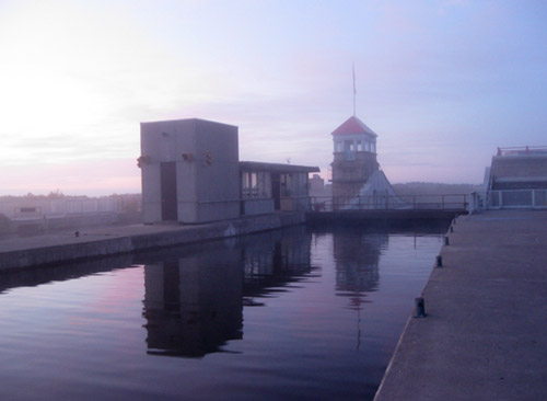 Foggy morning