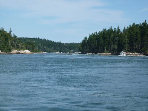 following along unknowingly going into "THE BASIN" about two hours after high tide. As you can see the next couple of pictures it's like white water rafting with your C-Dory