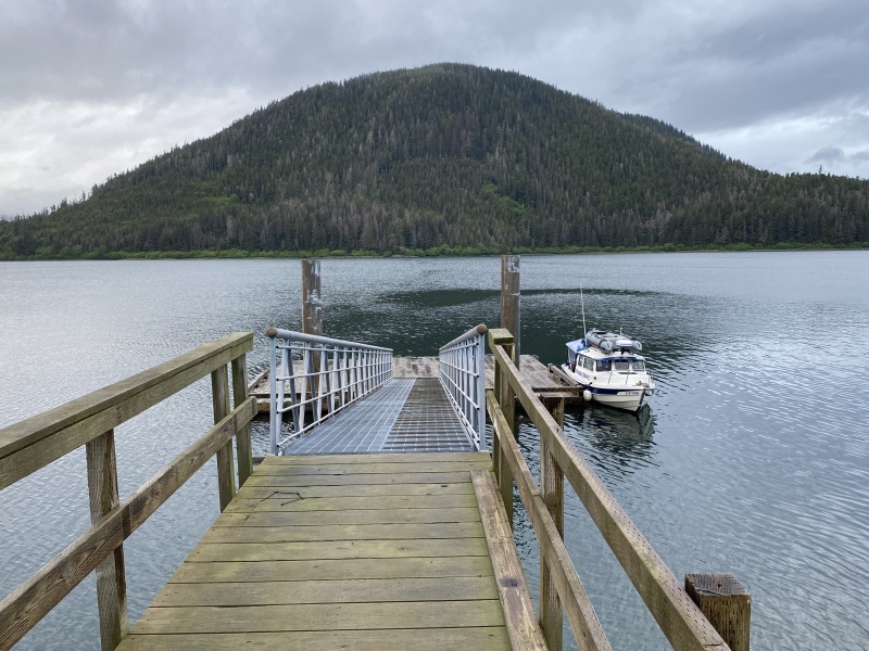 Forest service dock bears & whales near
