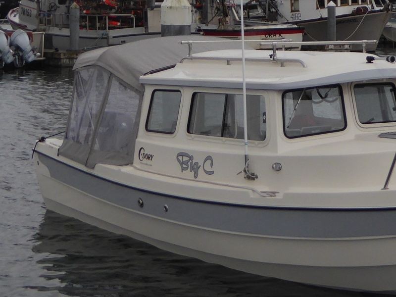 Forgot to get a photo of the thru-hull so this will have to do..its the larger one just behind the sink drain.
