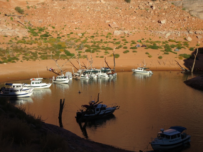 Forgotten Canyon Monday afternoon 9-23-13 from the rear to the front Secret of Life, Lighthouse Express, Discovery, Valkyrie, Jean Marie, See-Saw, Rana Verde, Bossa Nova, C-Swell, Sunbeam, Voyager and Hunky Dory
